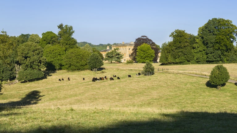 The parkland in August at Basildon Park, Berkshire